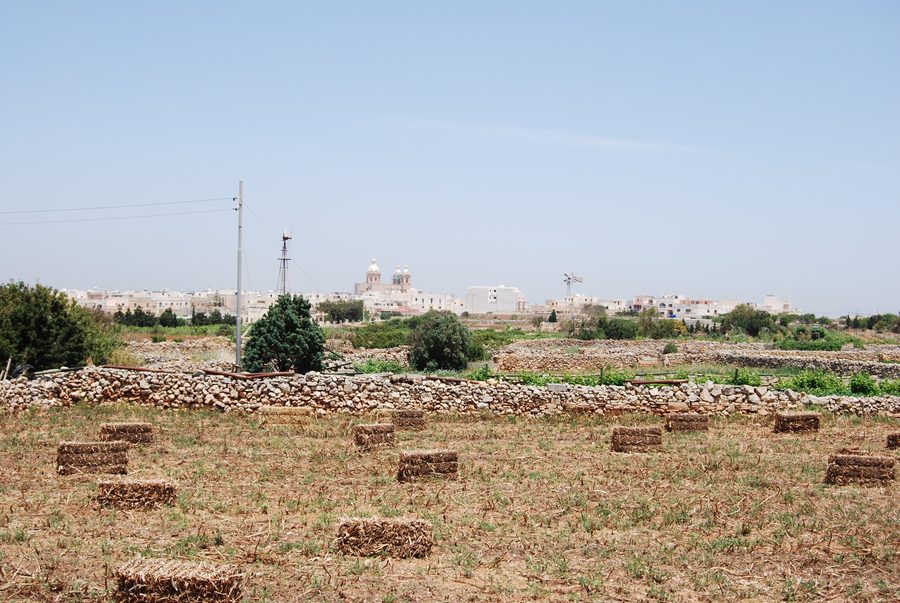 Ansicht des Dorfes Dingli auf Malta